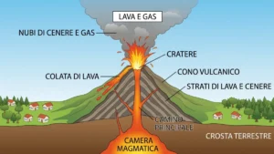 Schema didattico della struttura interna di un vulcano con la camera magmatica, il camino principale, il cratere e la colata di lava
