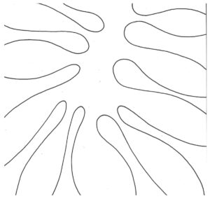 Disegno a matita del particolare dello sfondo decorativo del quadro La Musique di Matisse.