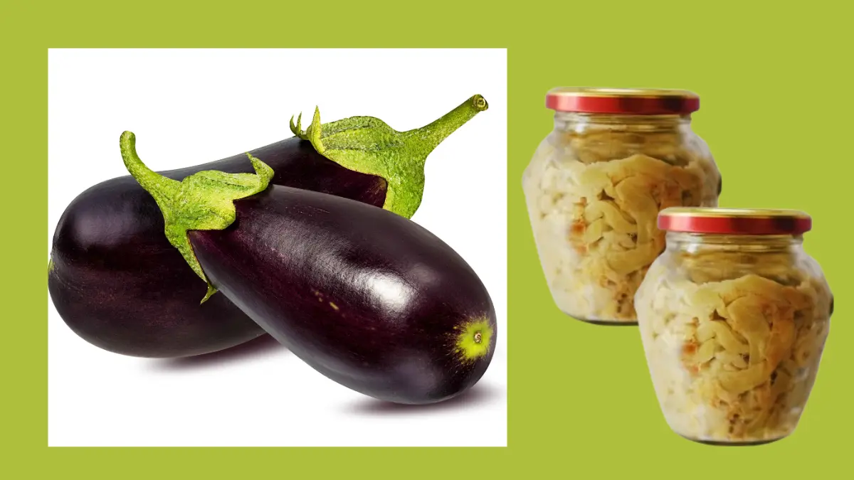 Traditional Calabrian raw pickled eggplants in a jar with fresh eggplants.