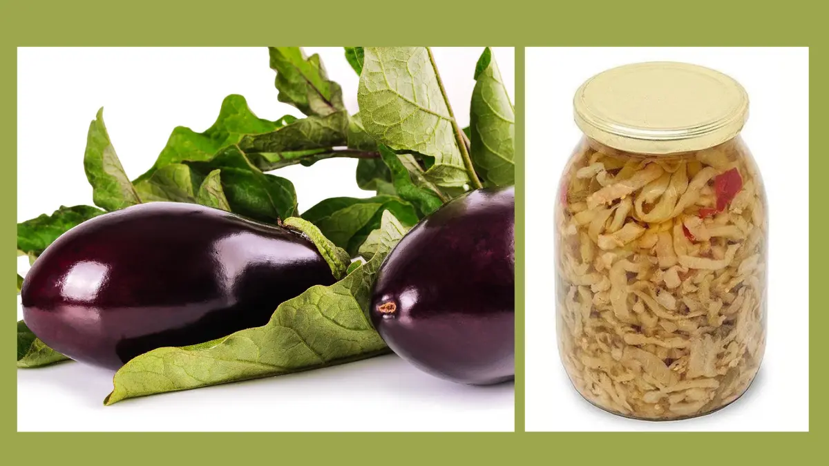 Melanzane fresche e vasetto di melanzane sott'olio a crudo preparate secondo la ricetta calabrese.